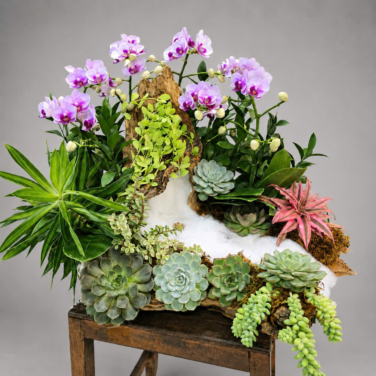 🌸 Chậu Lan Hồ Điệp Tươi Ghép Nghệ Thuật Mini – Tiểu Cảnh Thiên Nhiên Sang Trọng