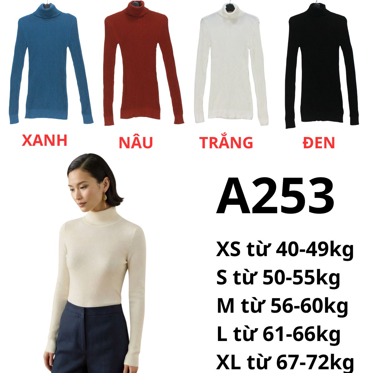 A253- Áo len cổ lọ