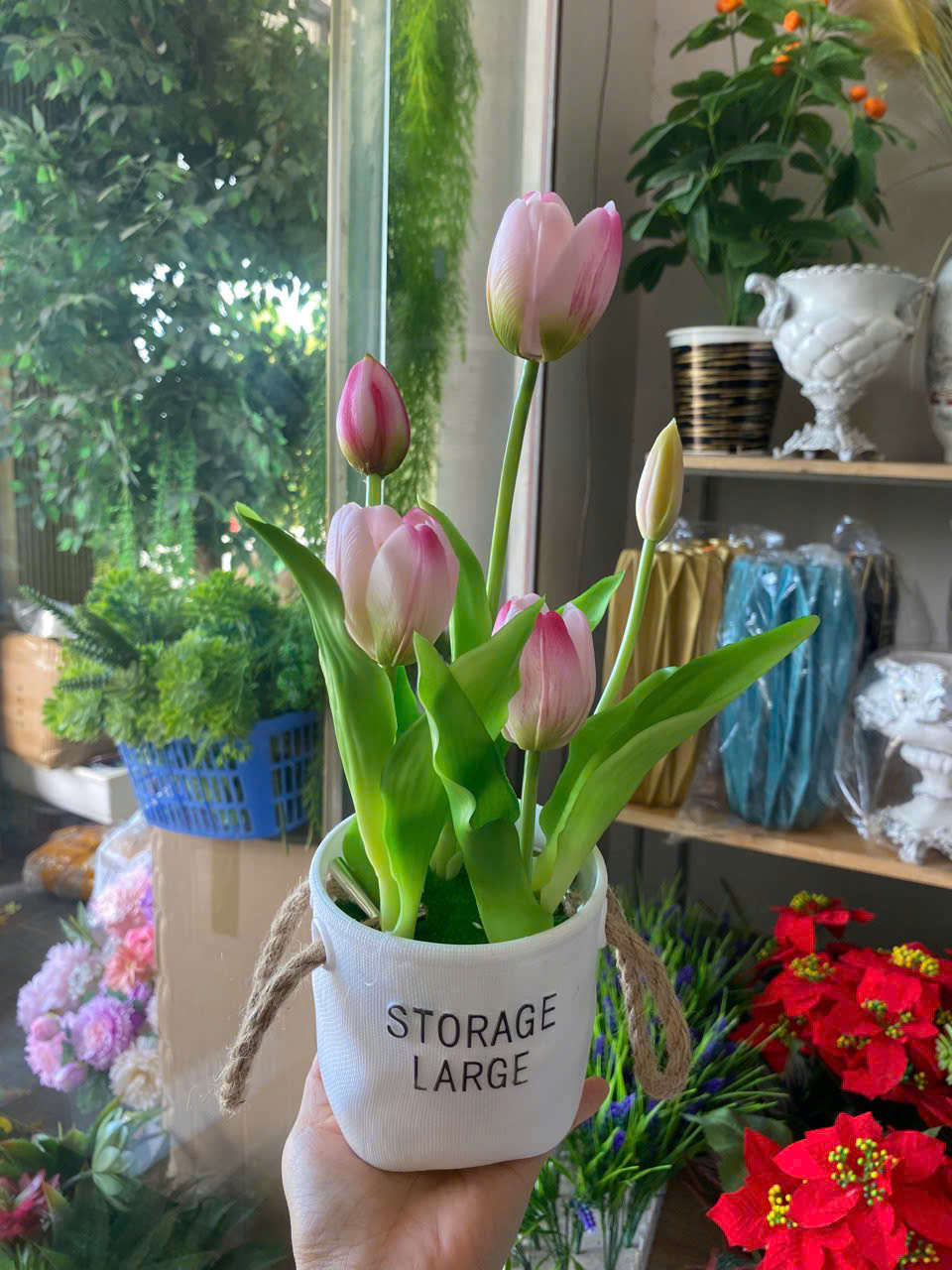 CHẬU TULIP 90K_thumbnail_3