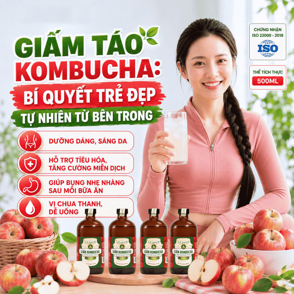 Giấm Kombucha Táo