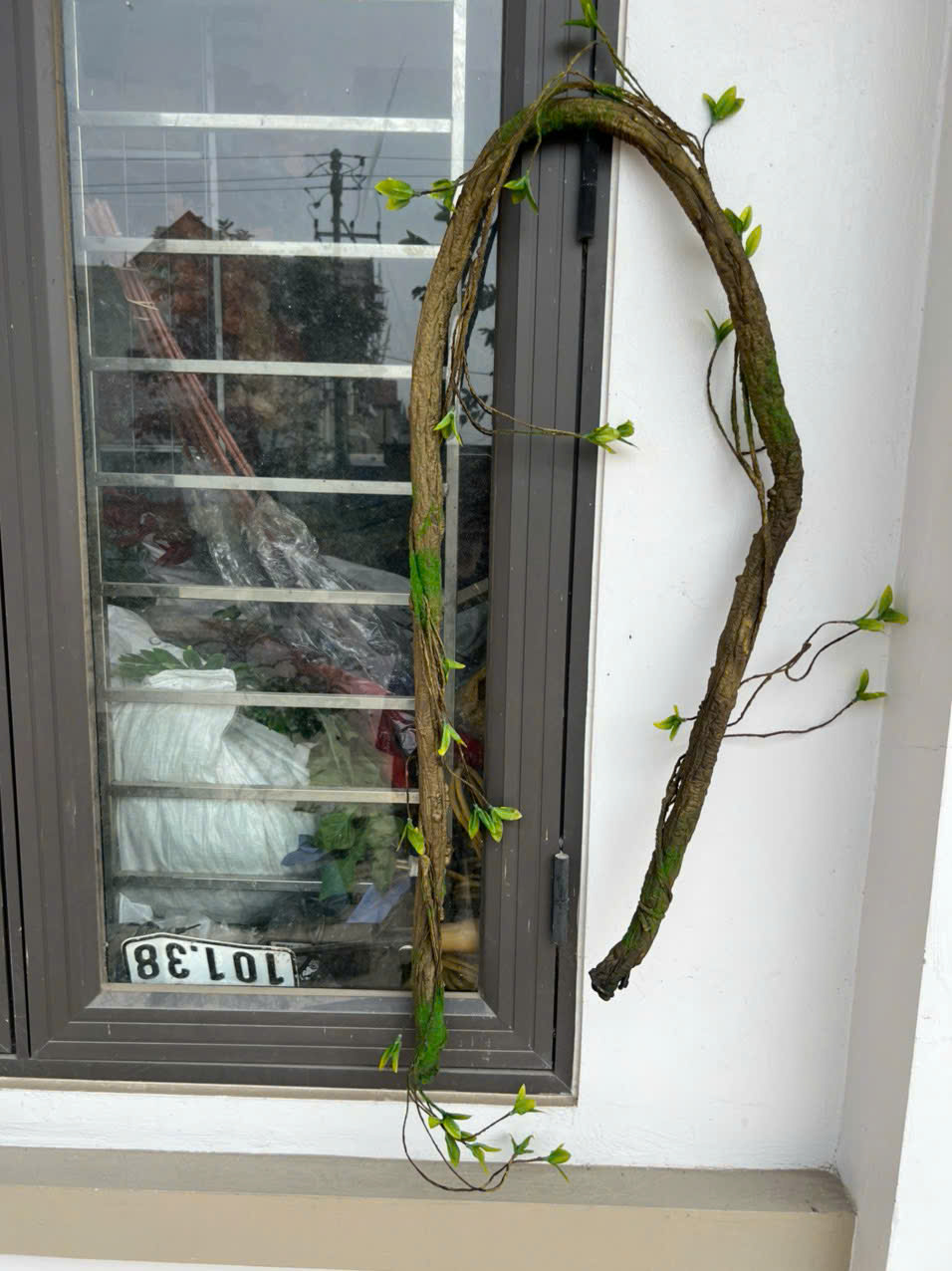 Dây rừng 1,8m giá 60k ak