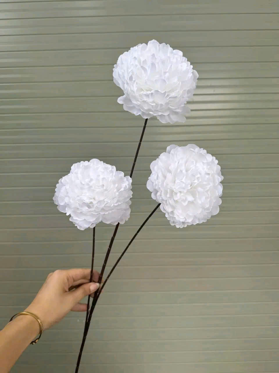MẪU ĐƠN CÀNH CAO 11K_thumbnail_2
