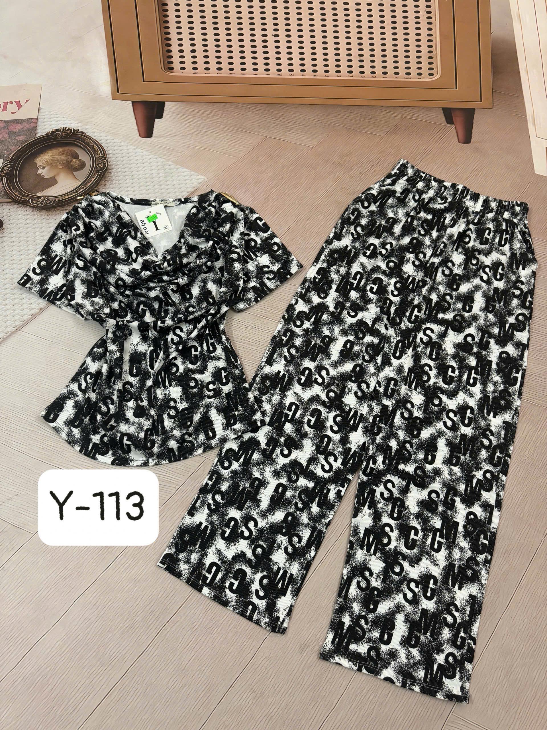 Đồ bộ thun thiết kế tay dài Y113