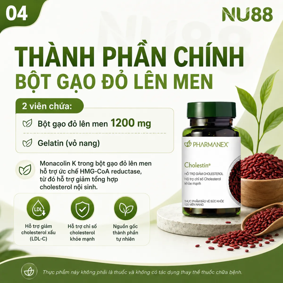 Thực phẩm bảo vệ sức khỏe Cholestin_thumbnail_4