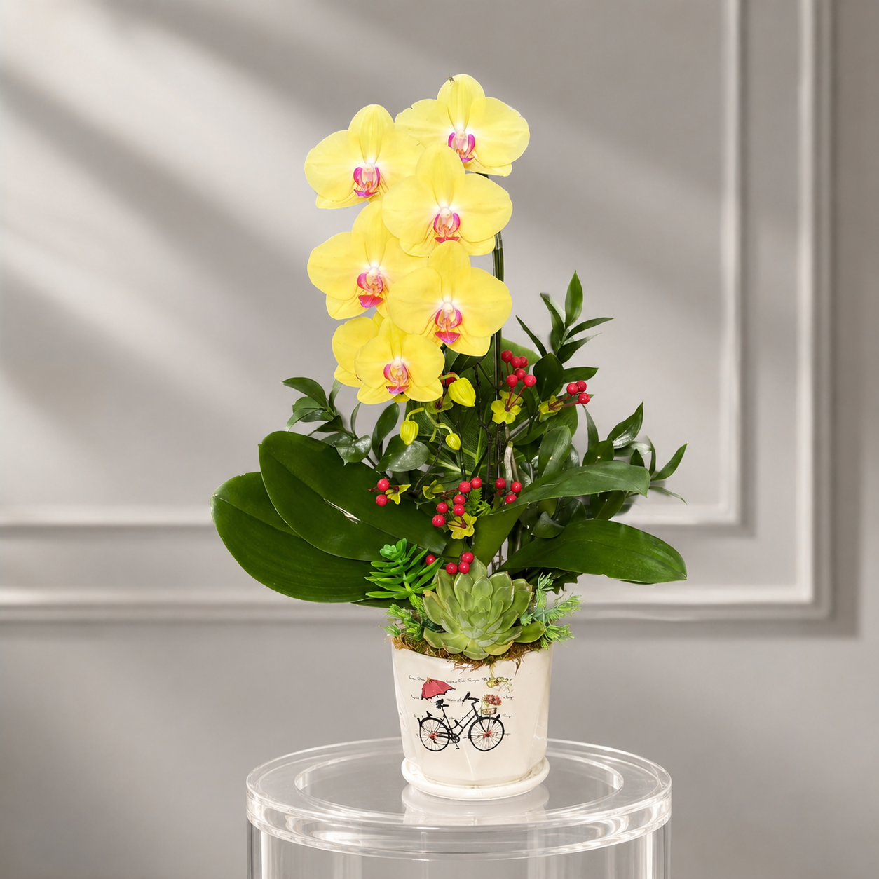 🌼 Chậu Lan Hồ Điệp Tươi 1 Cành Vàng – Nhỏ Gọn, Sang Trọng Và Tràn Đầy May Mắn