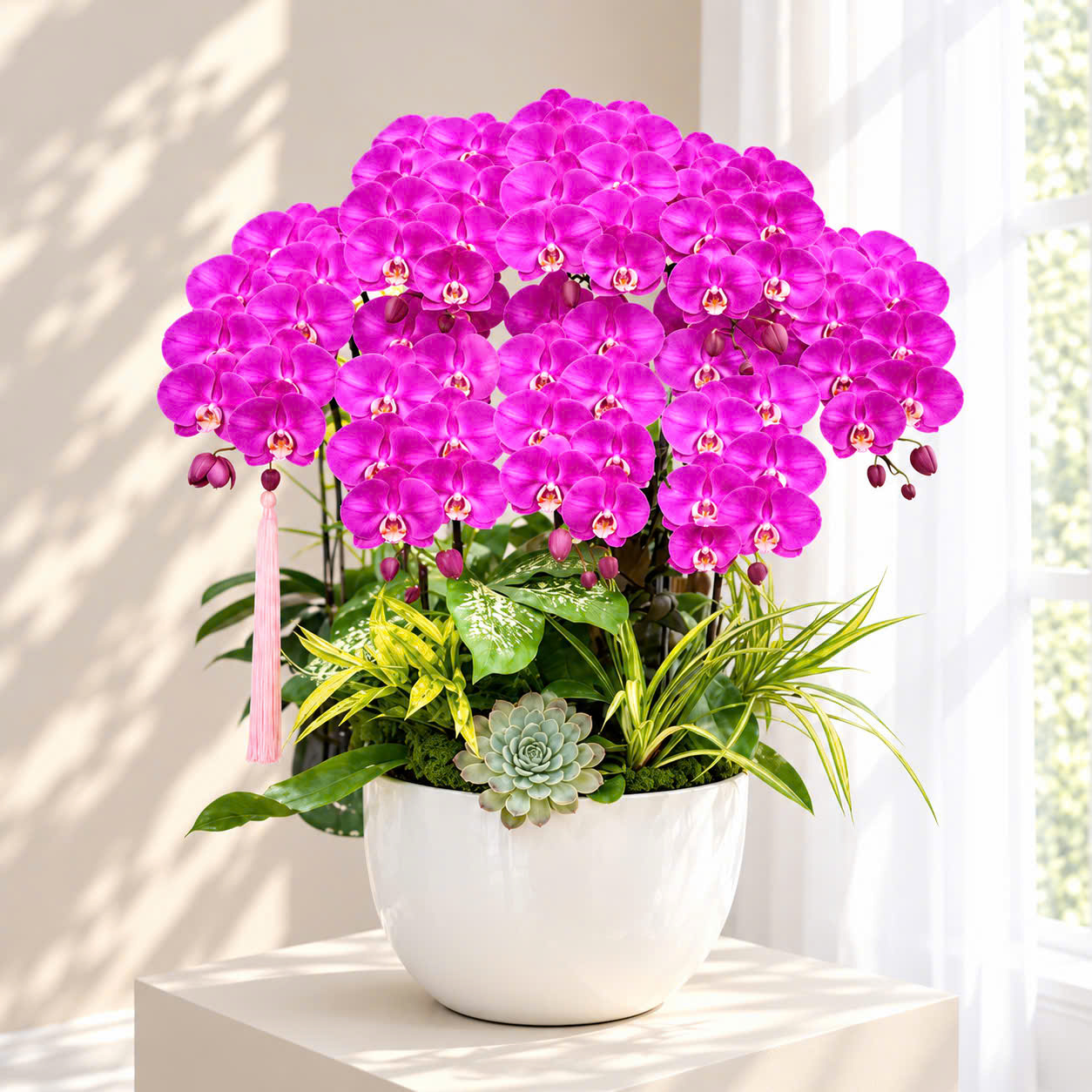 🌸 Chậu 8 Cây Lan Hồ Điệp Hồng Đậm – Sang Trọng, Rực Rỡ Và Đầy May Mắn