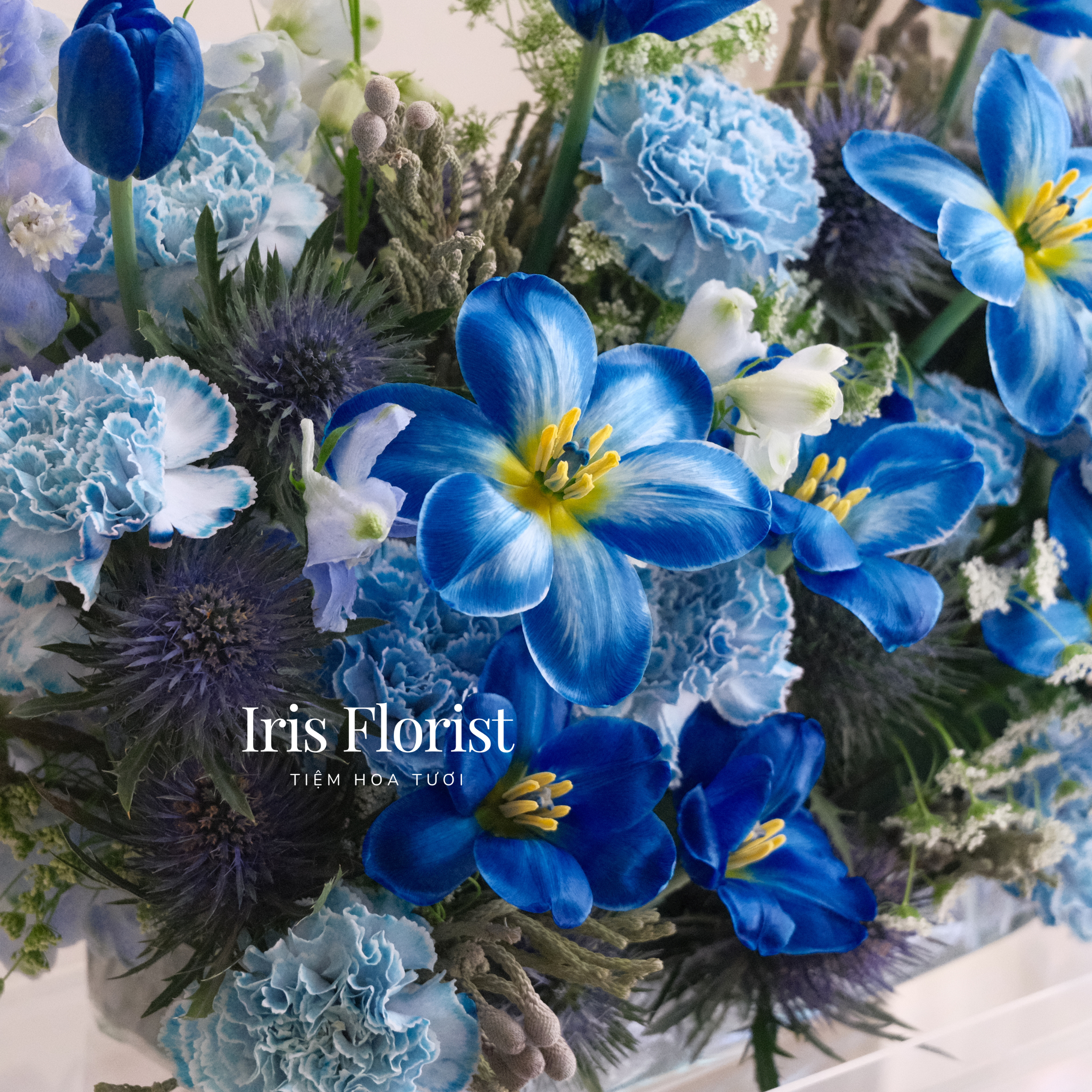 Blue Sapphire Box - Ngội nhà hoa tone Xanh Dương đậm_thumbnail_2