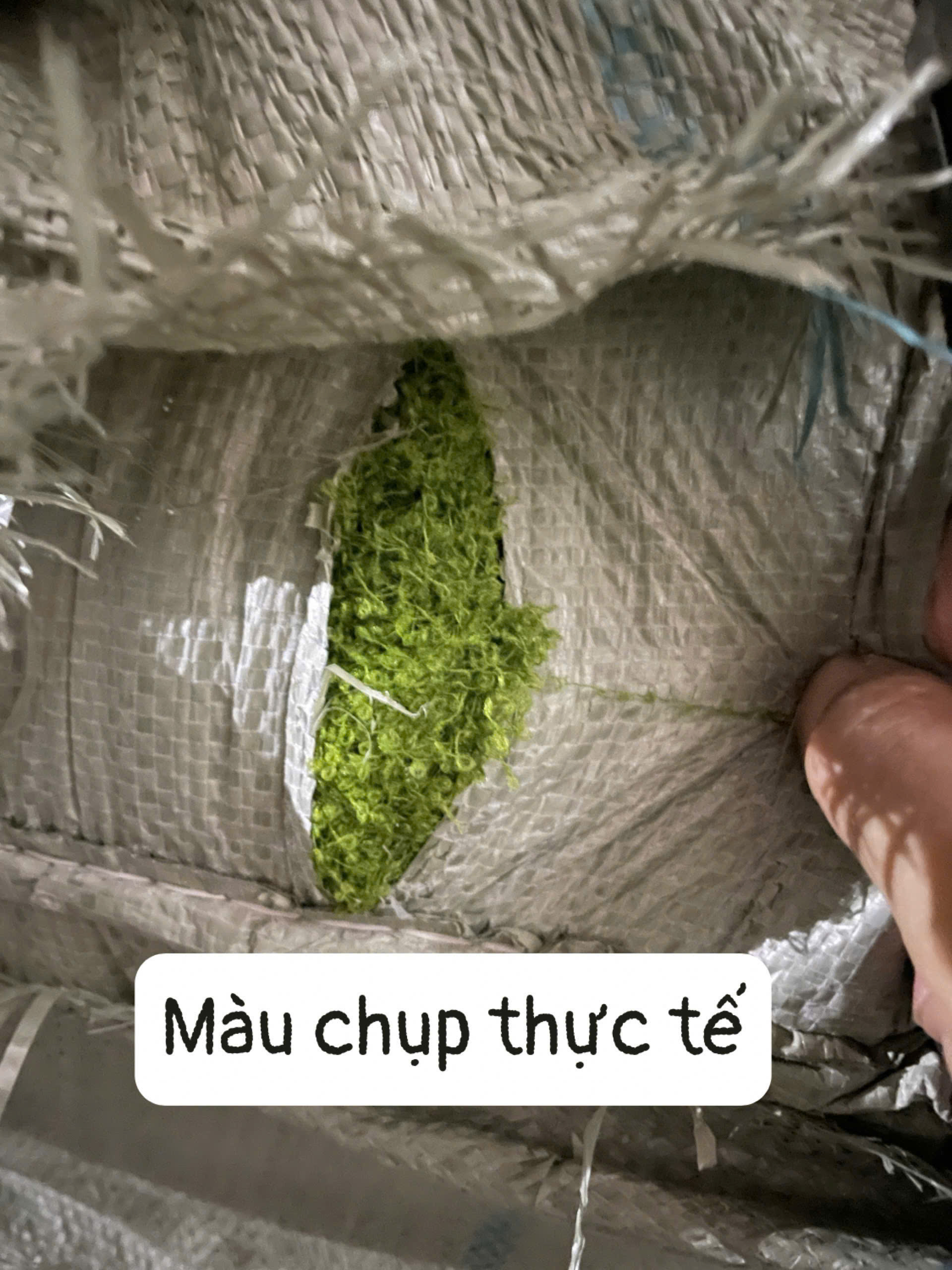 SỢI RÊU 210K/KG