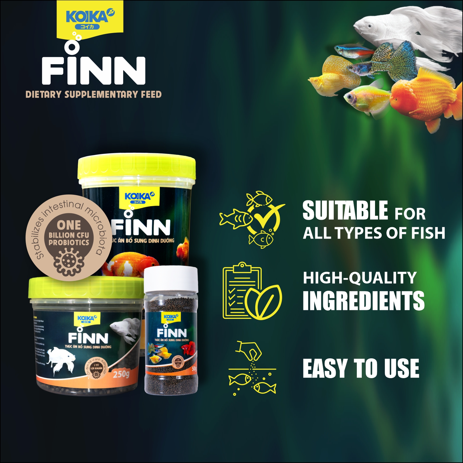 Why Isn't My Fish Growing as Expected? 6 Common Reasons You Might Be Overlooking