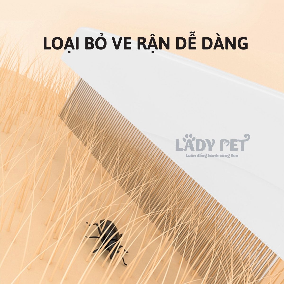 Lược chải ve rận, lông mép_thumbnail_3