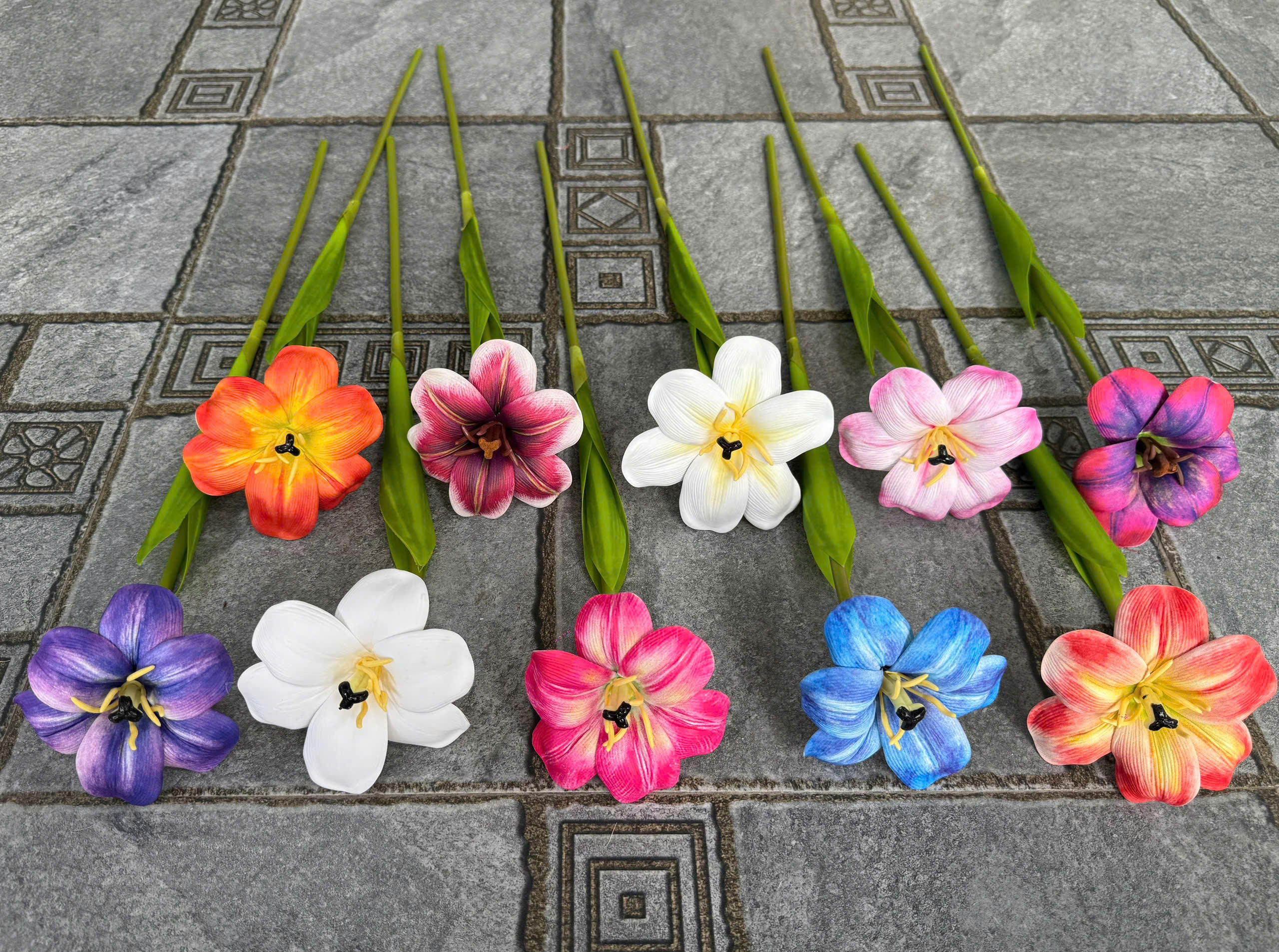 TULIP NỞ 17K_thumbnail_1