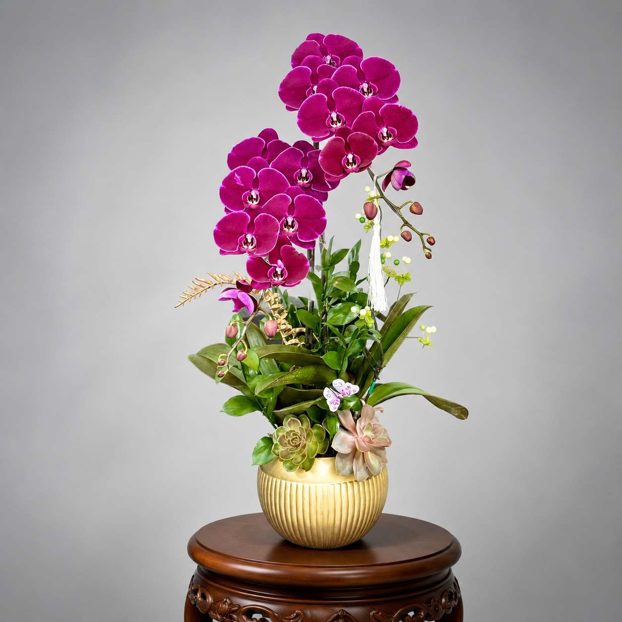✨Chậu 2 Cây Lan Hồ Điệp Đỏ Cherry – Sang Trọng, May Mắn Và Tài Lộc