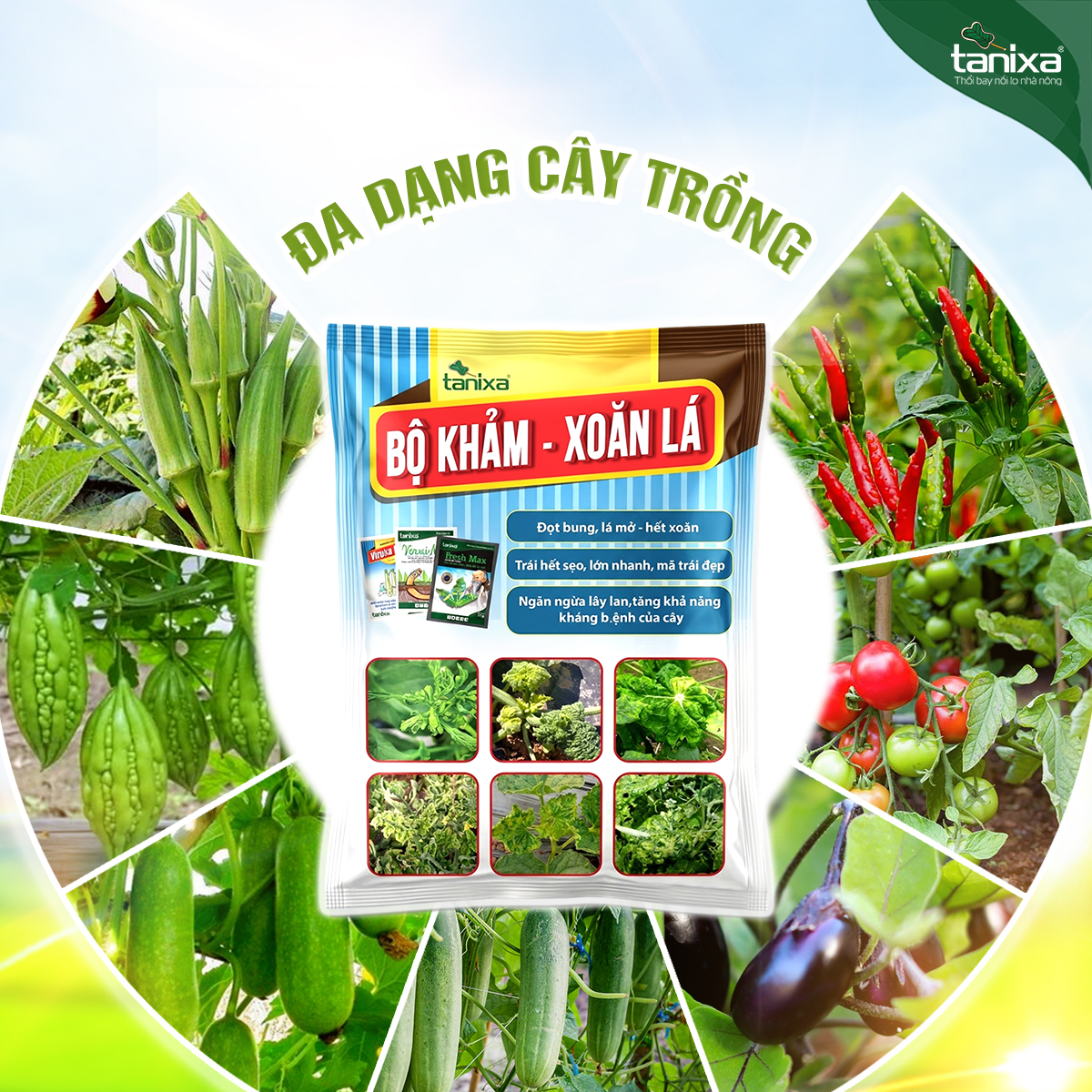 Bộ Khảm - Xoăn lá Tanixa (KM)_thumbnail_5