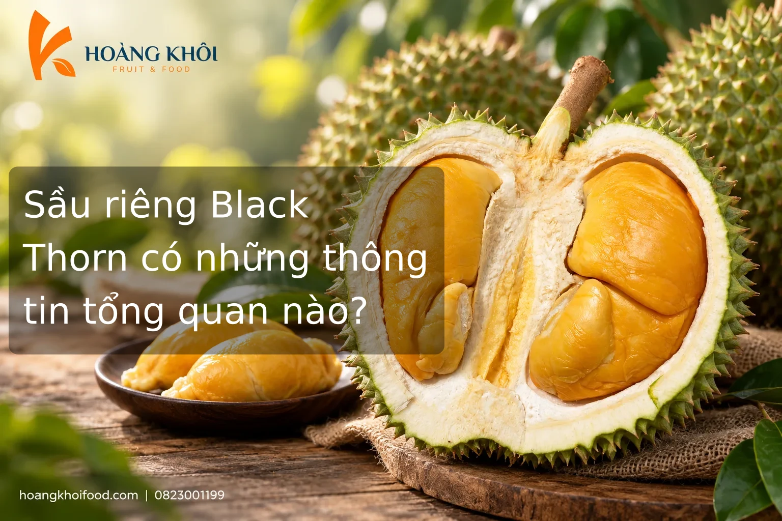 Sầu riêng Black Thorn có những thông tin tổng quan nào?