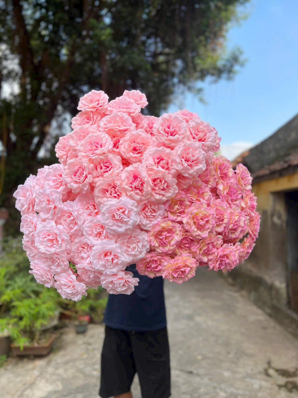 HỒNG XOĂN CÀNH NGẮN 10K