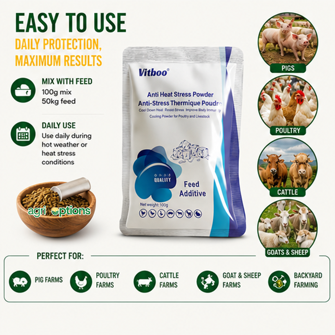 Vitboo Anti Heat Stress Powder_thumbnail_1