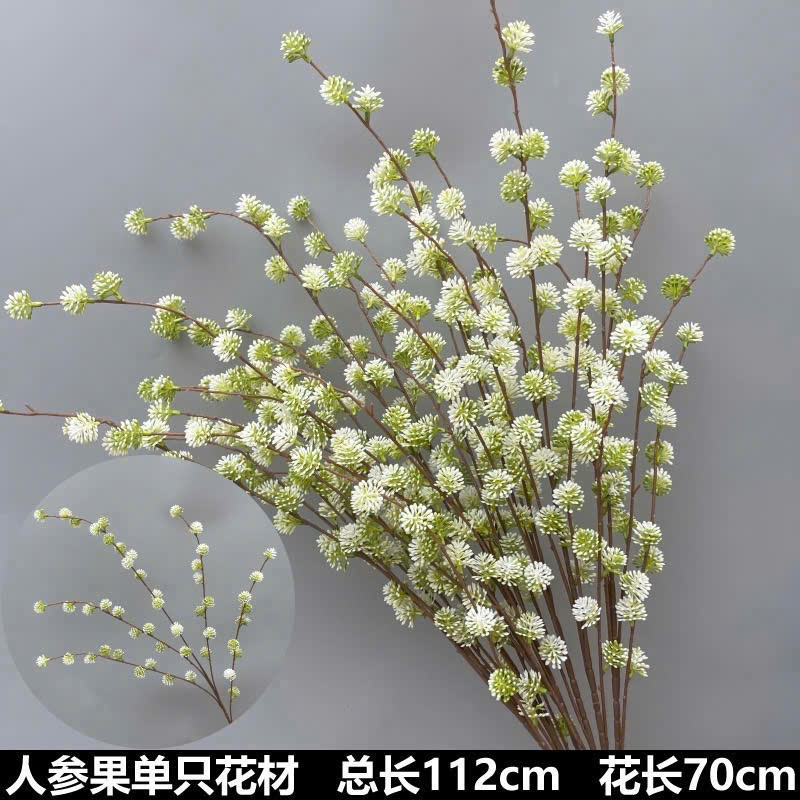 LIỄU CHI 17K