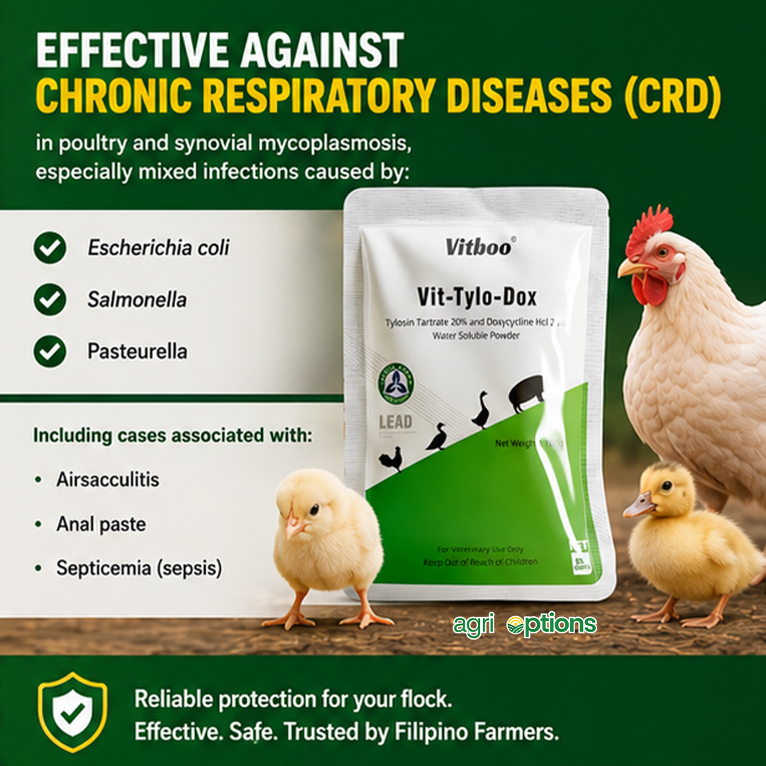 Vitboo VIT-Tylo-Dox 100grams_thumbnail_7