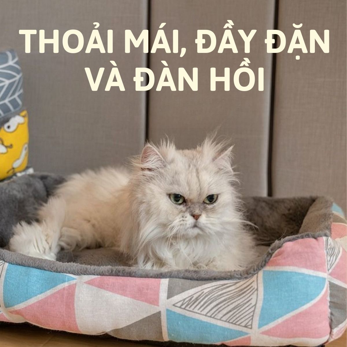 Đệm hình chữ nhật cho chó mèo_thumbnail_3