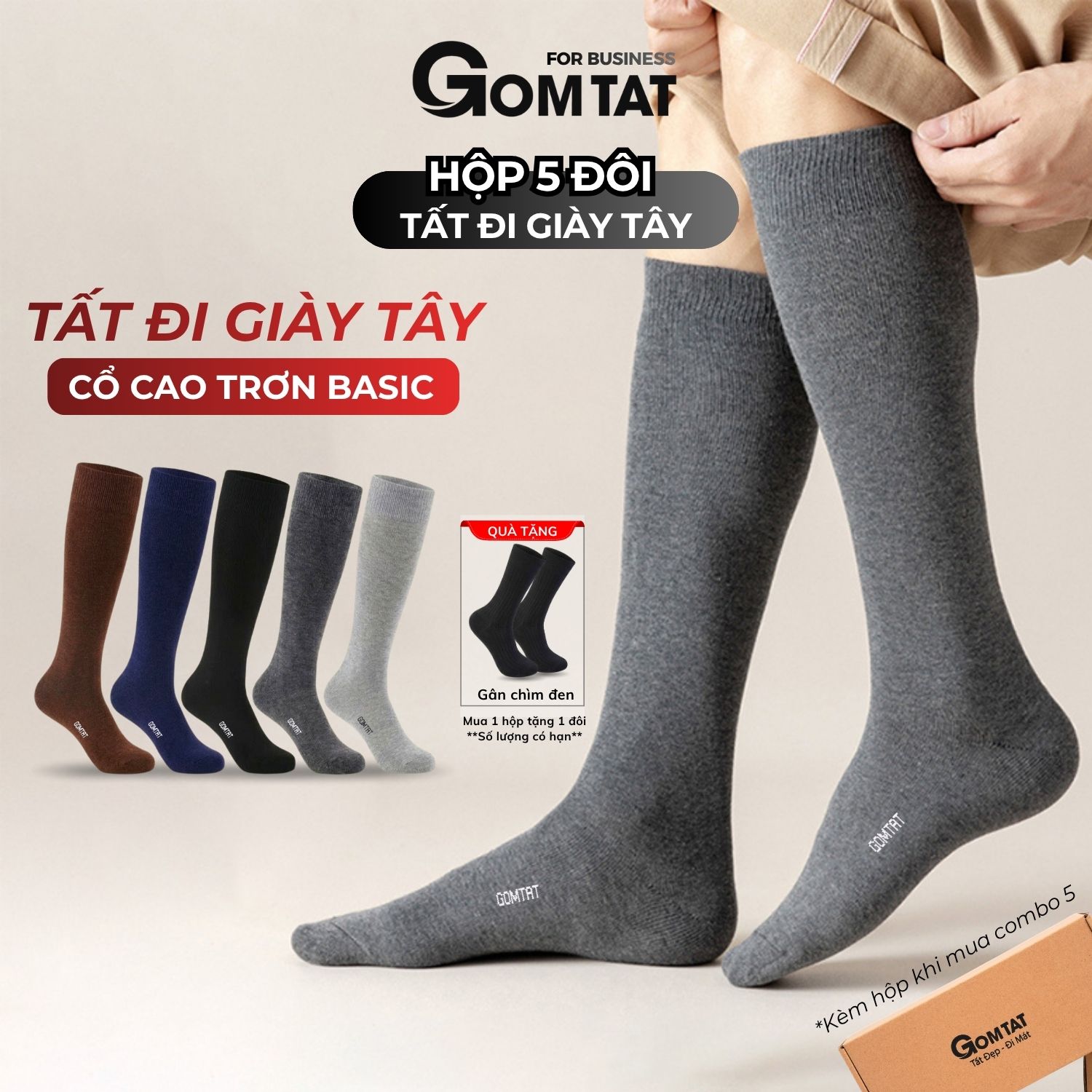 Hộp 5 đôi tất nam đi giày tây cổ cao GOMTAT, vớ công sở màu trơn basic - LUX-1804
