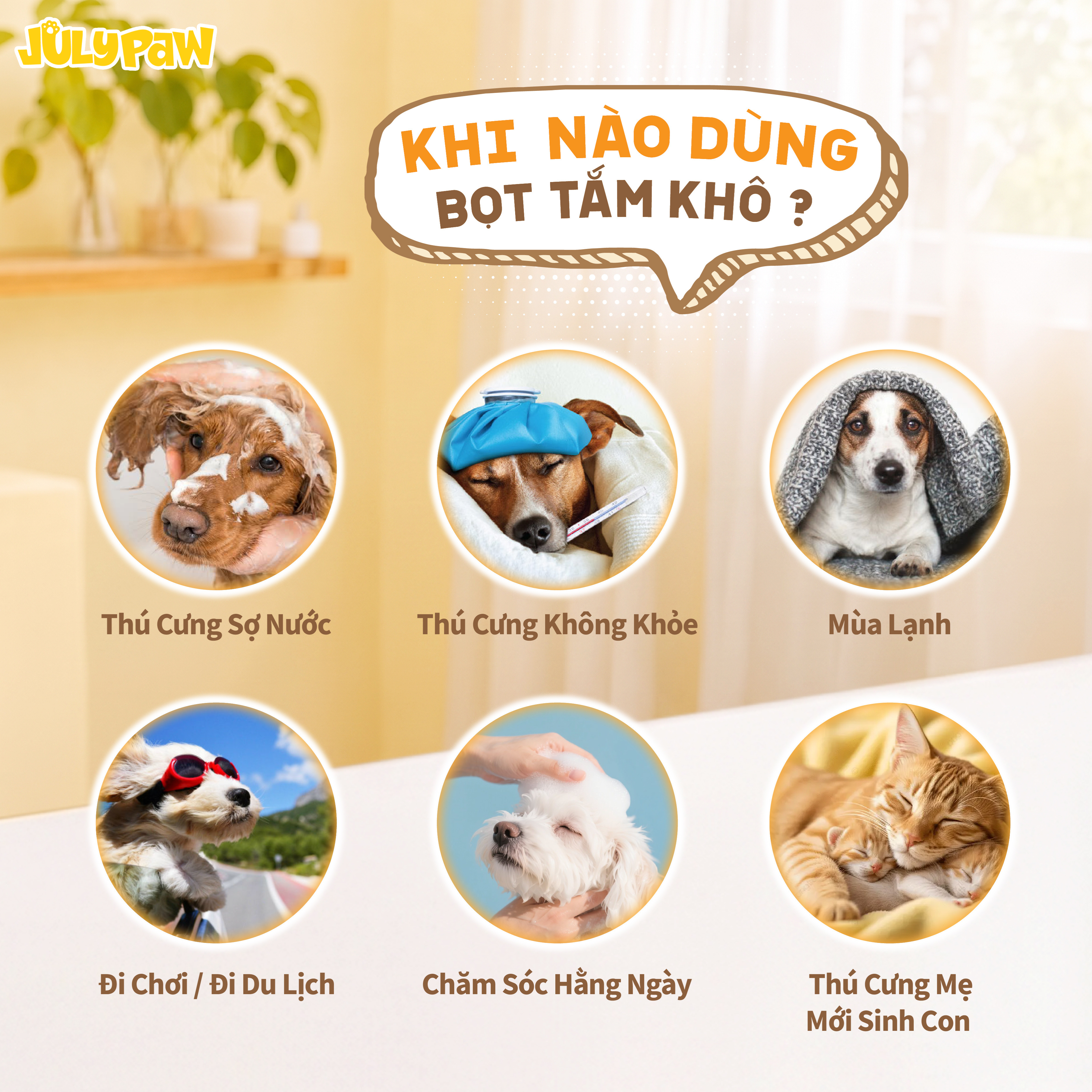 Bọt Tắm Khô Cho Thú Cưng Blossom_thumbnail_2