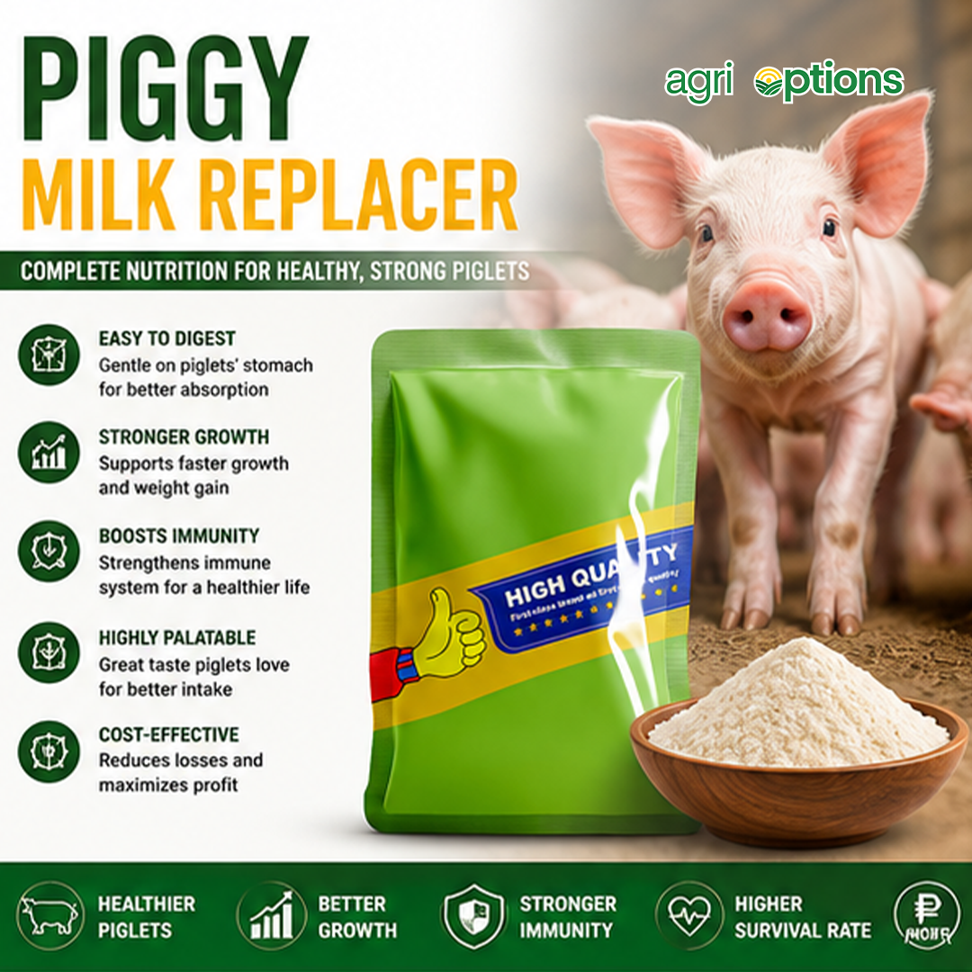 Piggy Milk Replacer_thumbnail_7