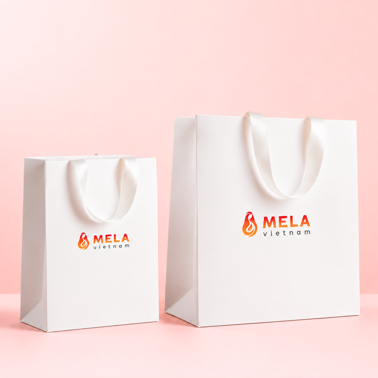 Túi Giấy Quà Tặng Mela