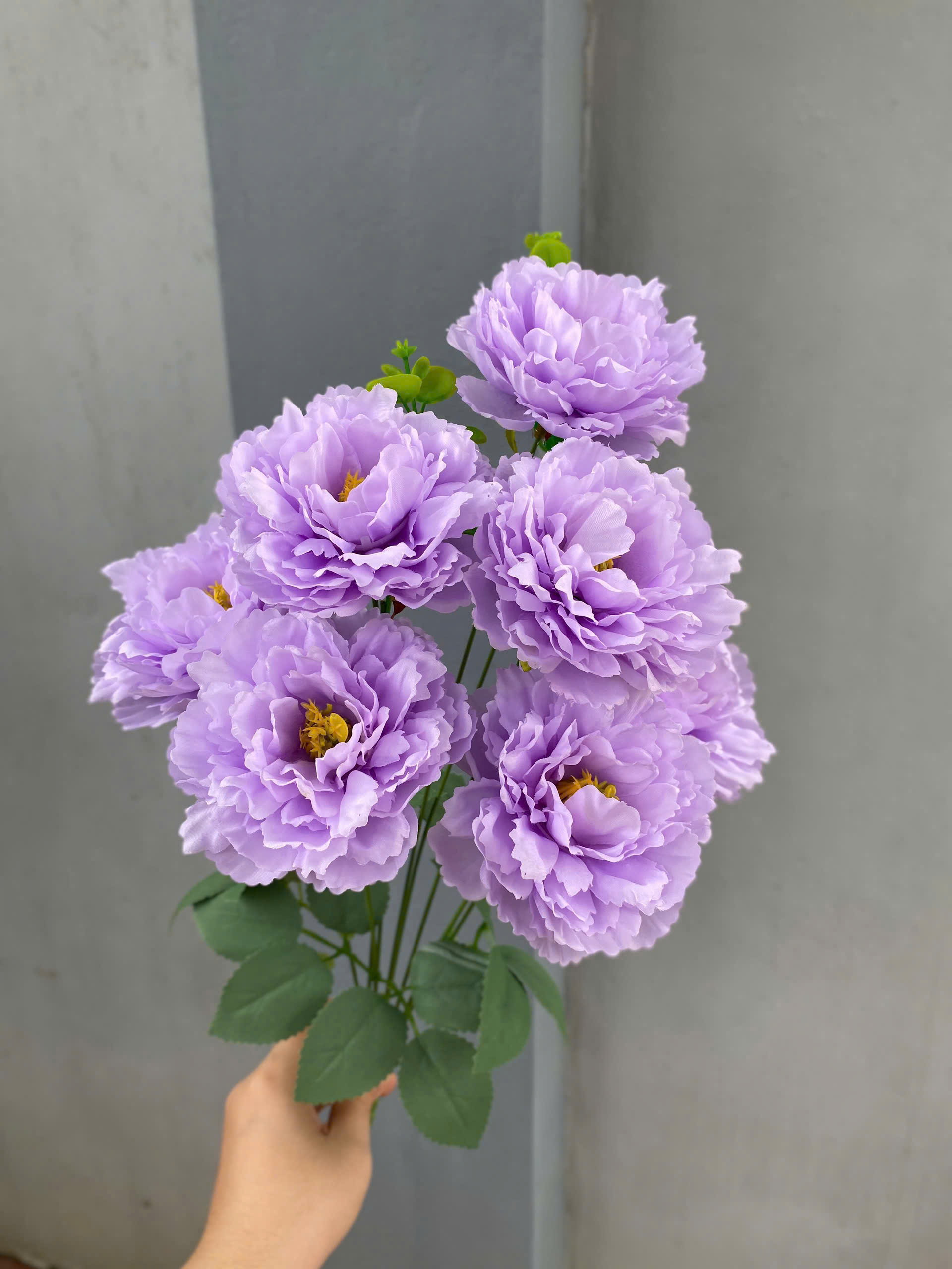 HOA MỘC TRÀ CỤM 7B 23K_thumbnail_2