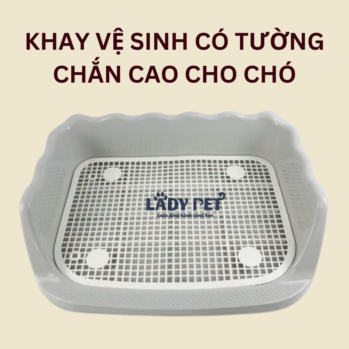 Khay vệ sinh có thành cho chó_thumbnail_1