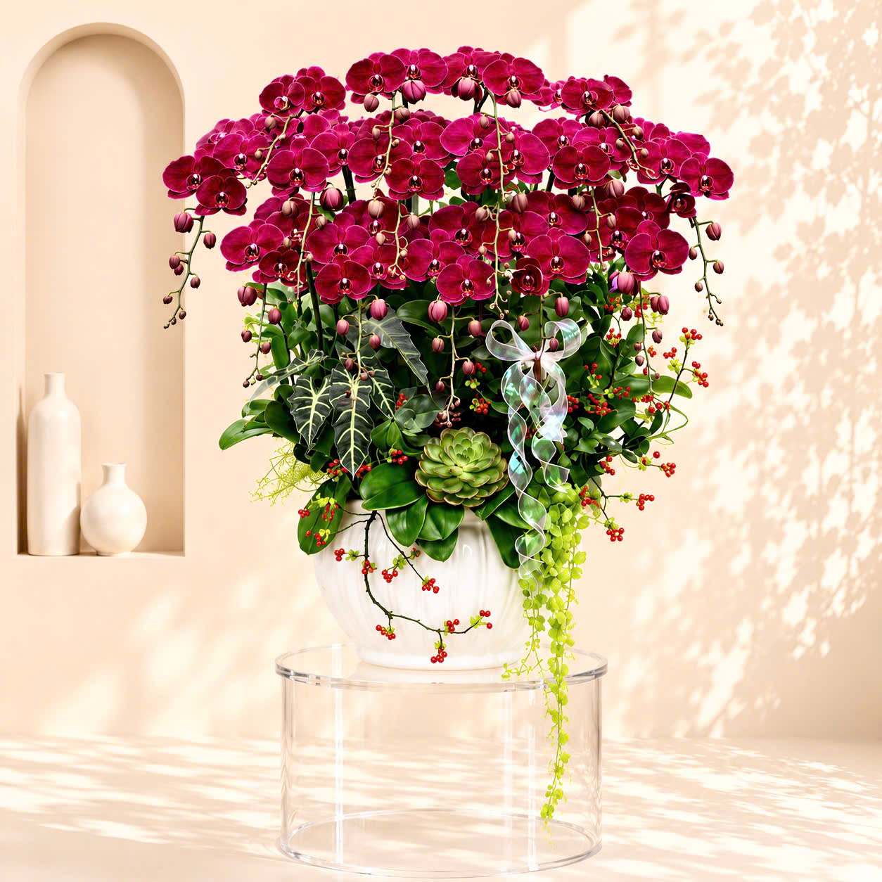 ❤️Chậu Lan Hồ Điệp Đỏ Cherry 15 Cành – Tuyệt Phẩm Phong Thủy Đẳng Cấp, Biểu Tượng Của Thành Công Và Phú Quý