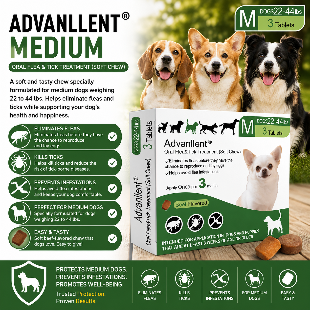 Advanllent ( Fluralaner )_thumbnail_15