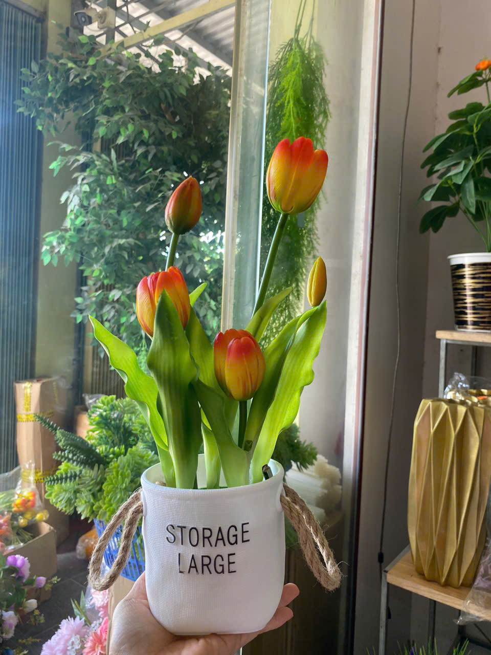 CHẬU TULIP 90K_thumbnail_4
