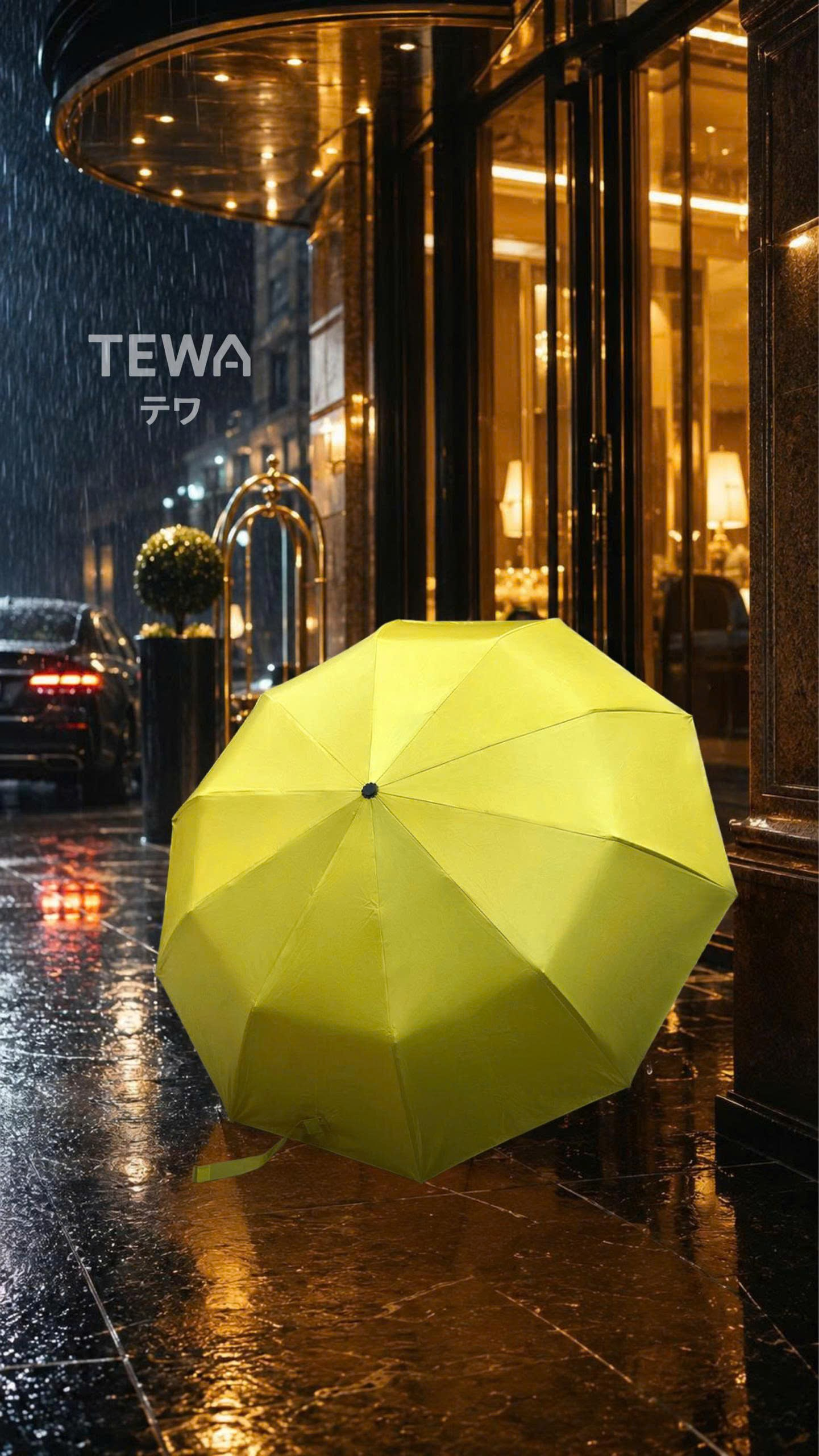 Ô trơn 10 nan kép (20 nan đơn) TEWA