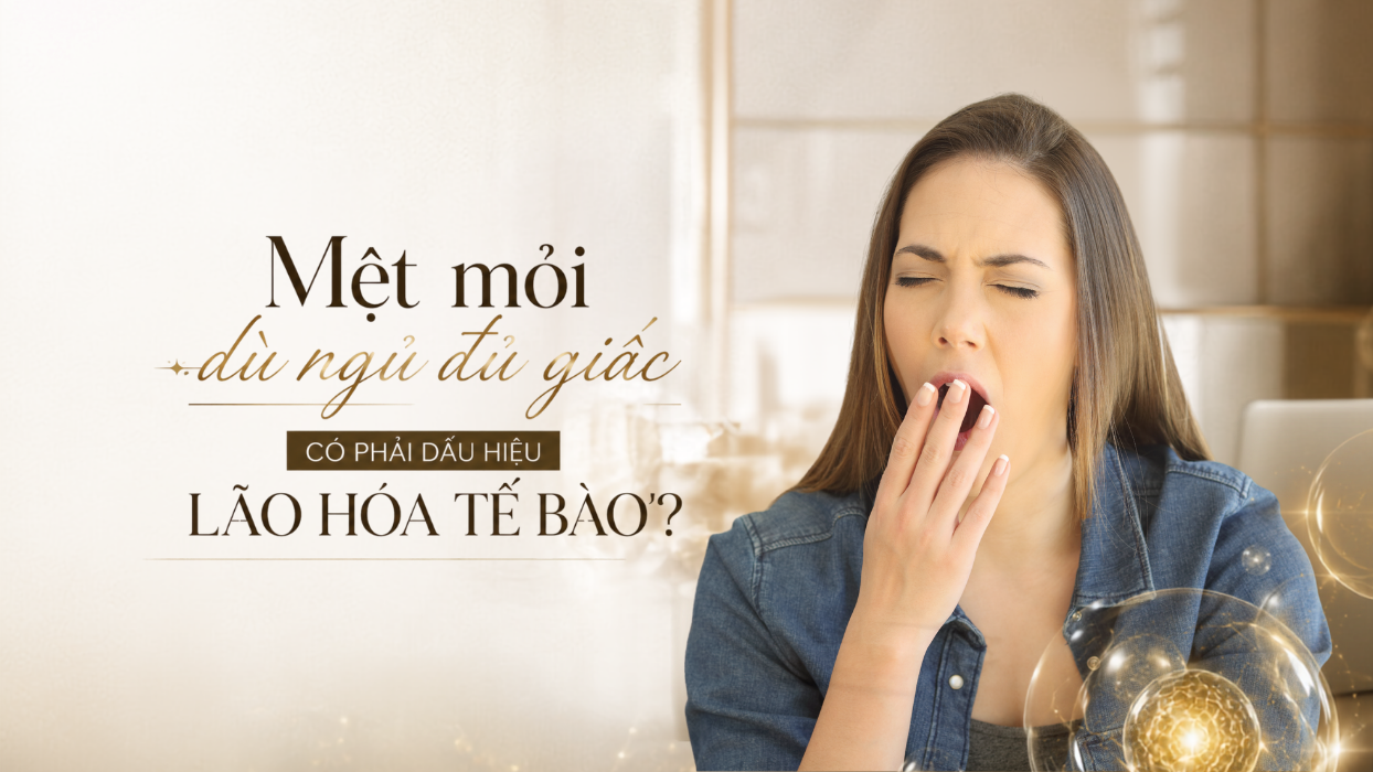 Mệt mỏi dù ngủ đủ giấc có phải dấu hiệu lão hóa tế bào?