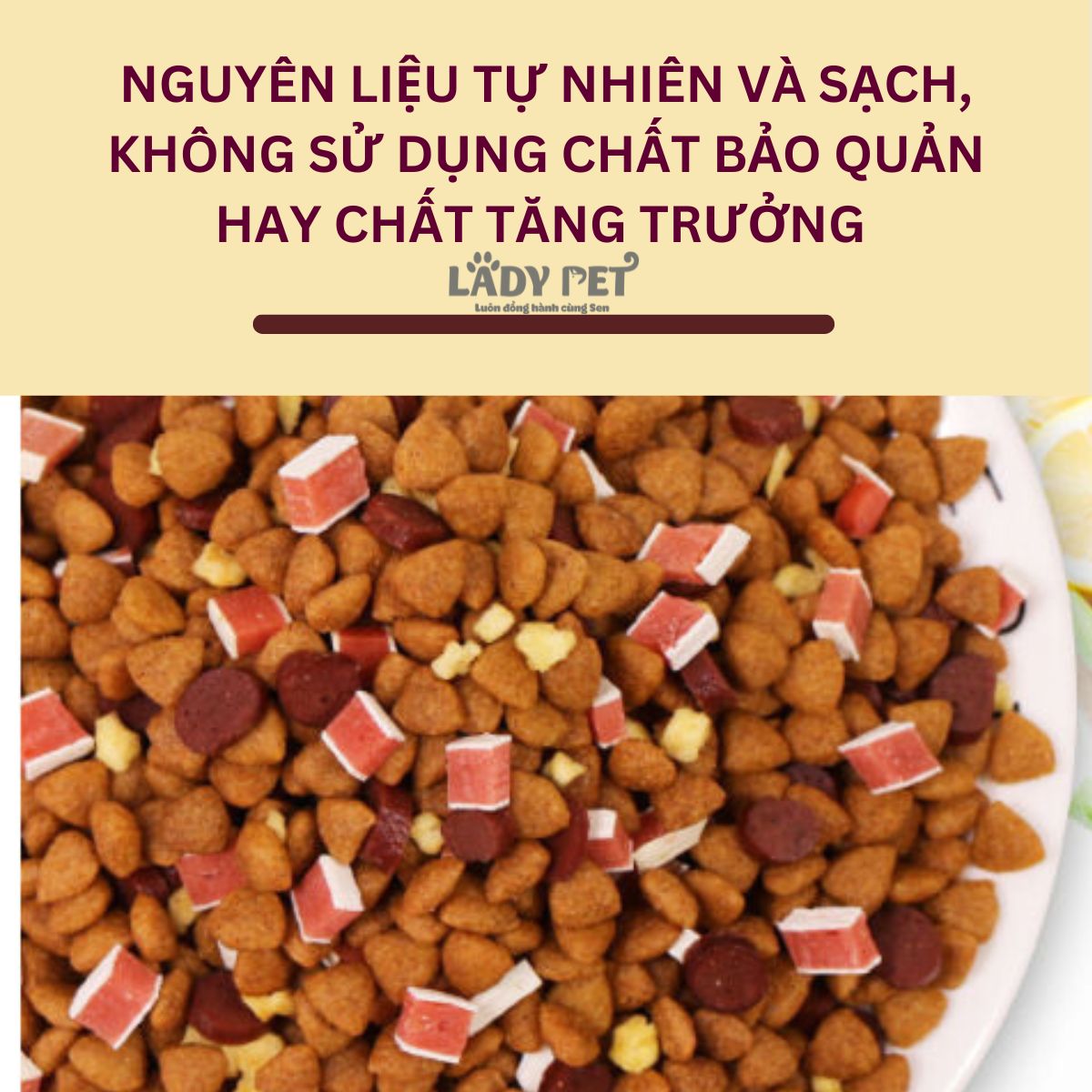 Hạt captain cho cún kén ăn_thumbnail_10