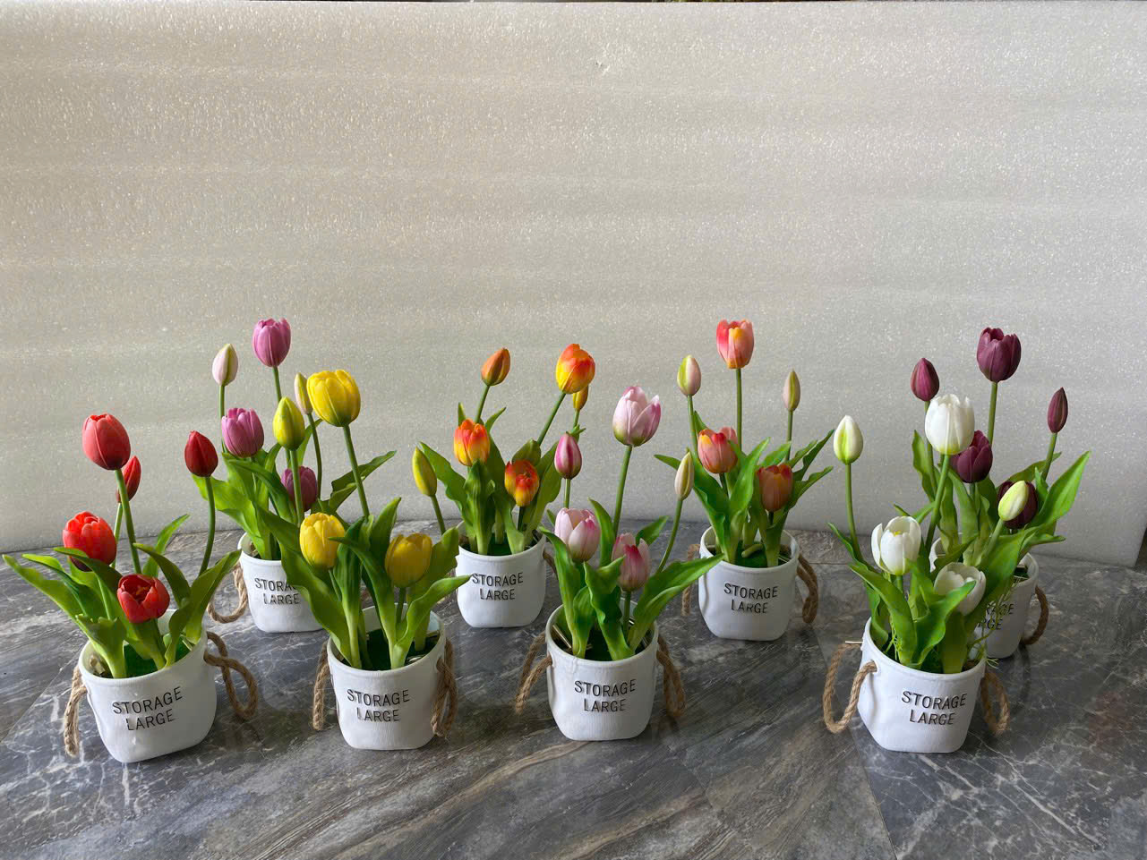 CHẬU TULIP 90K_thumbnail_7