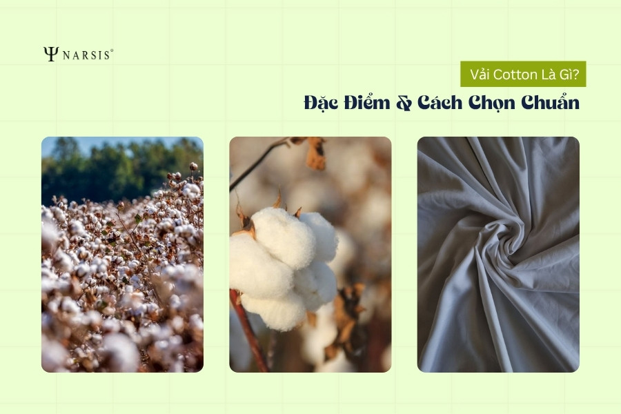 Vải Cotton Là Gì? Đặc Điểm, Phân Loại Và Cách Chọn Đồ Cotton Chuẩn Chất Lượng
