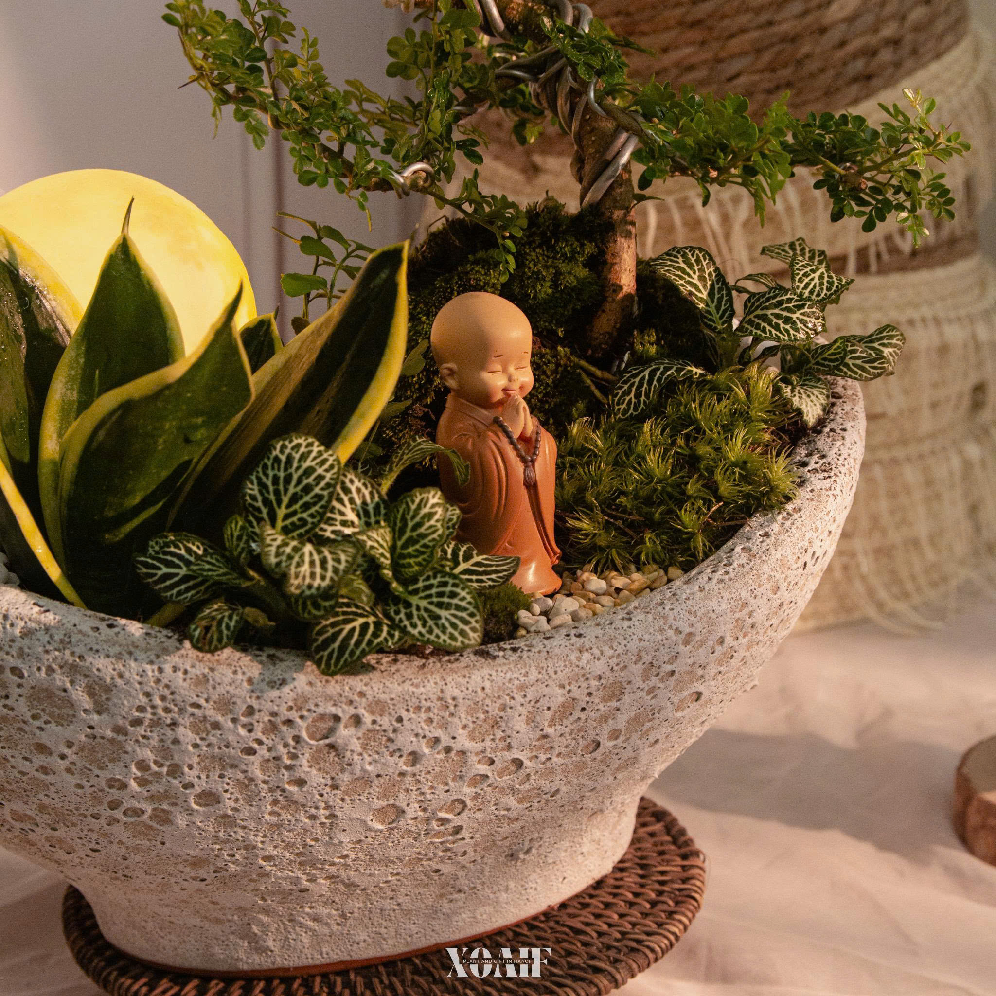 SET MIX CẦN THĂNG CHẬU ĐĨNH VÀNG
