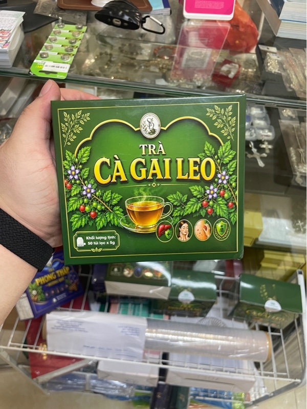 Trà cà gai leo