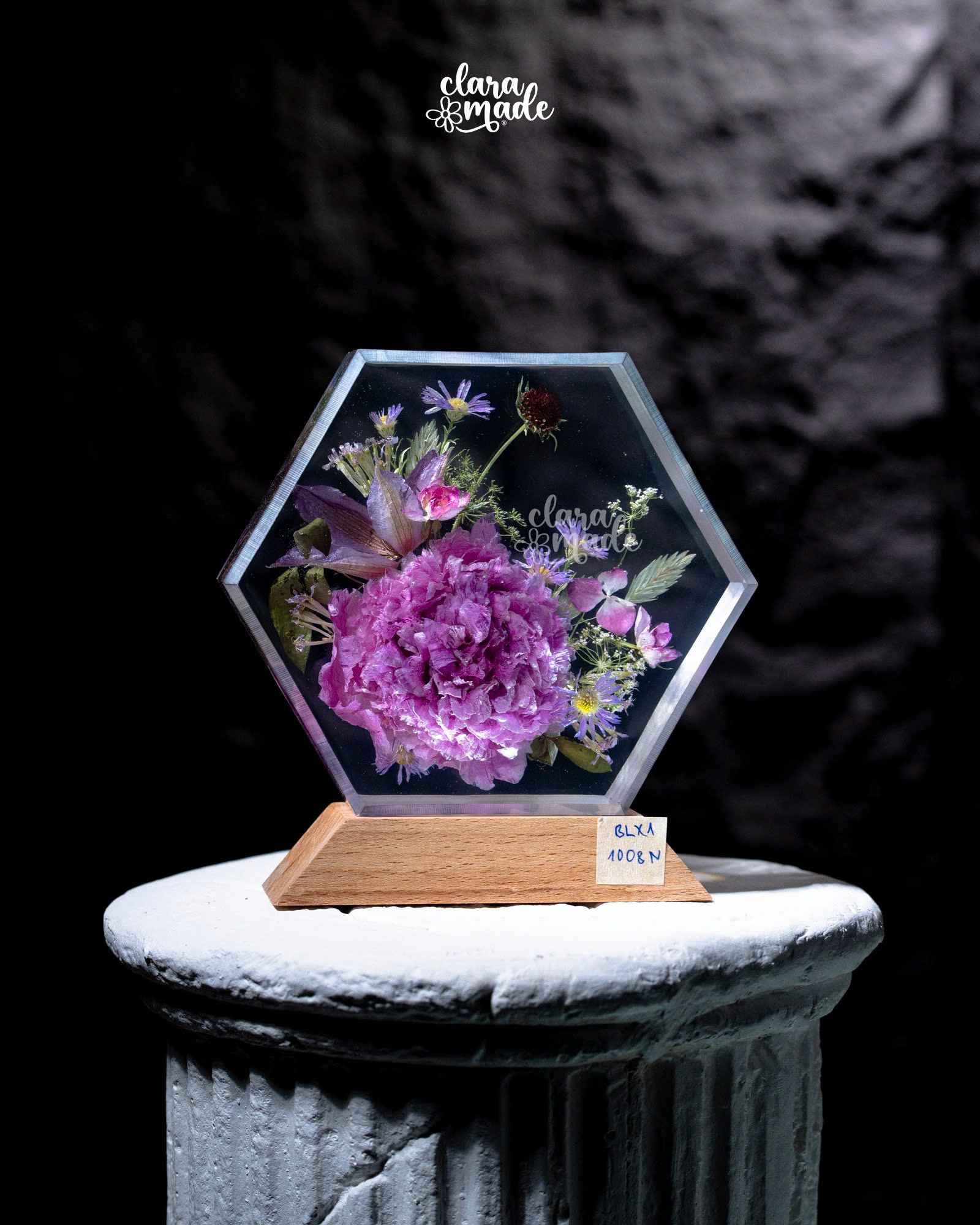 Đèn hoa khô Bloomlight Garden BLXA1008N