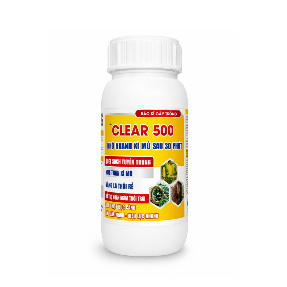 CLEAR 500