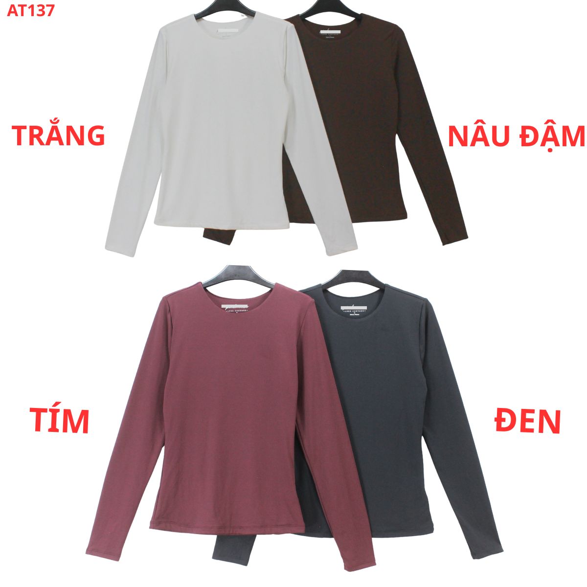 AT173 - Áo thun nữ TD_thumbnail_2
