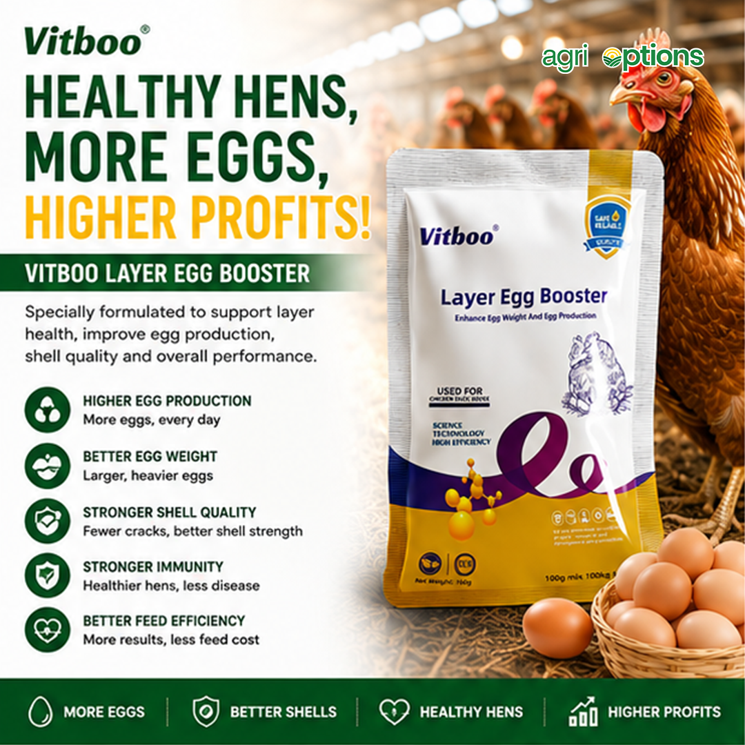 Layer Egg Booster_thumbnail_8