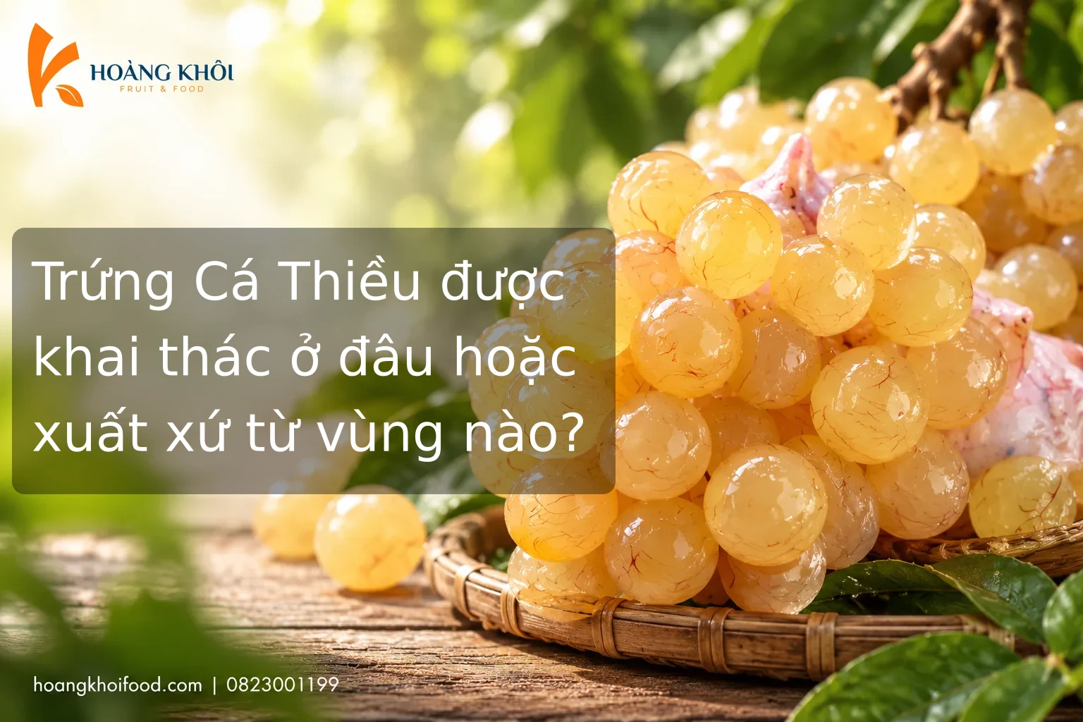 Trứng Cá Thiều được khai thác ở đâu hoặc xuất xứ từ vùng nào?