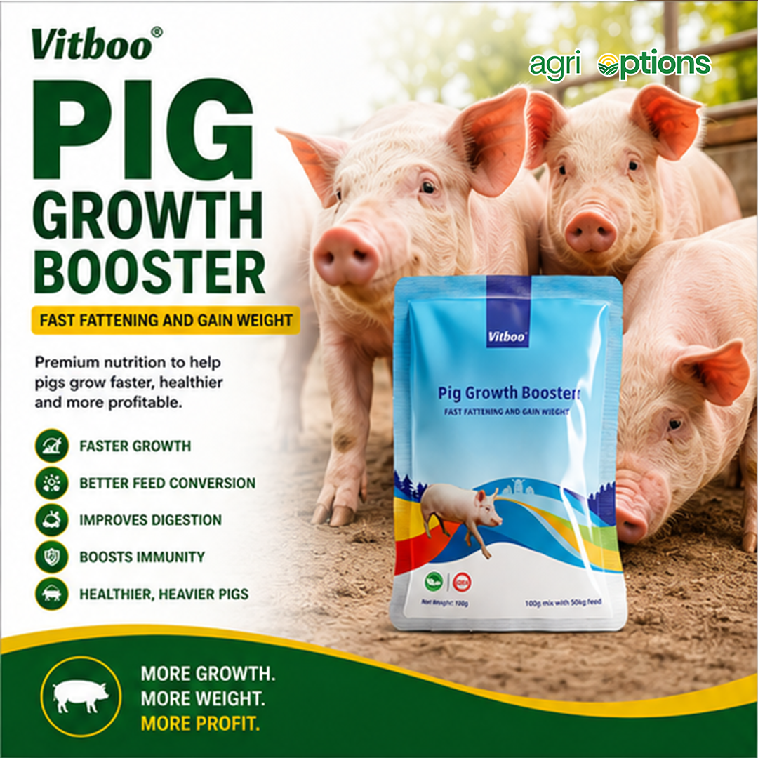 Vitboo Pig Growth Booster_thumbnail_2