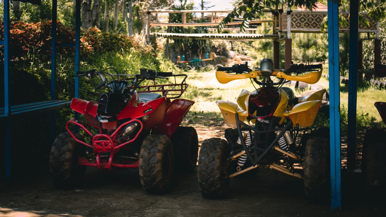 Extreme Wild
