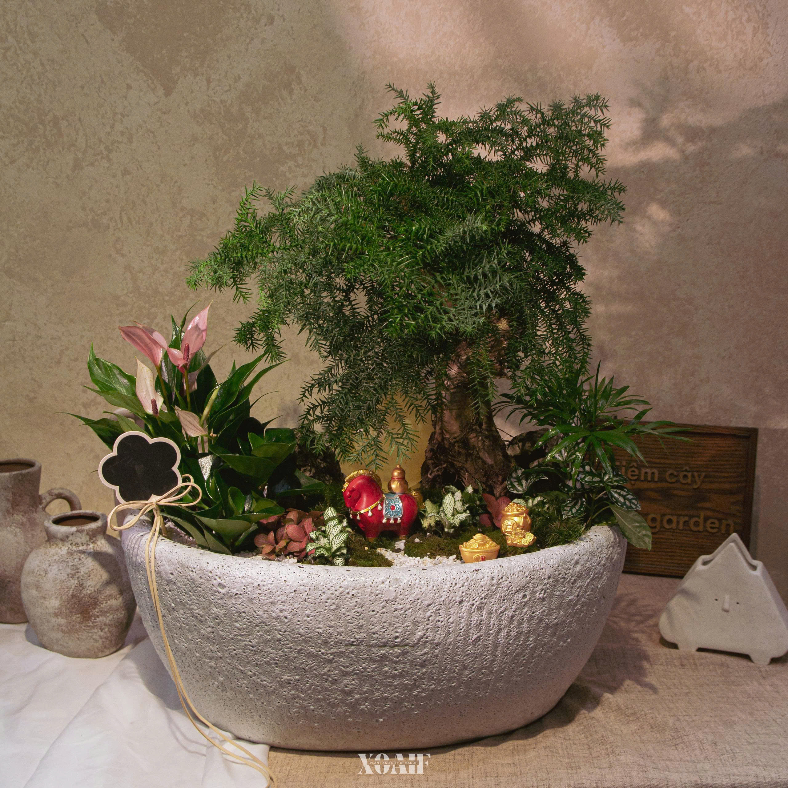 SET MIX TÙNG XƯƠNG CÁ CHẬU MEN XÔI 
