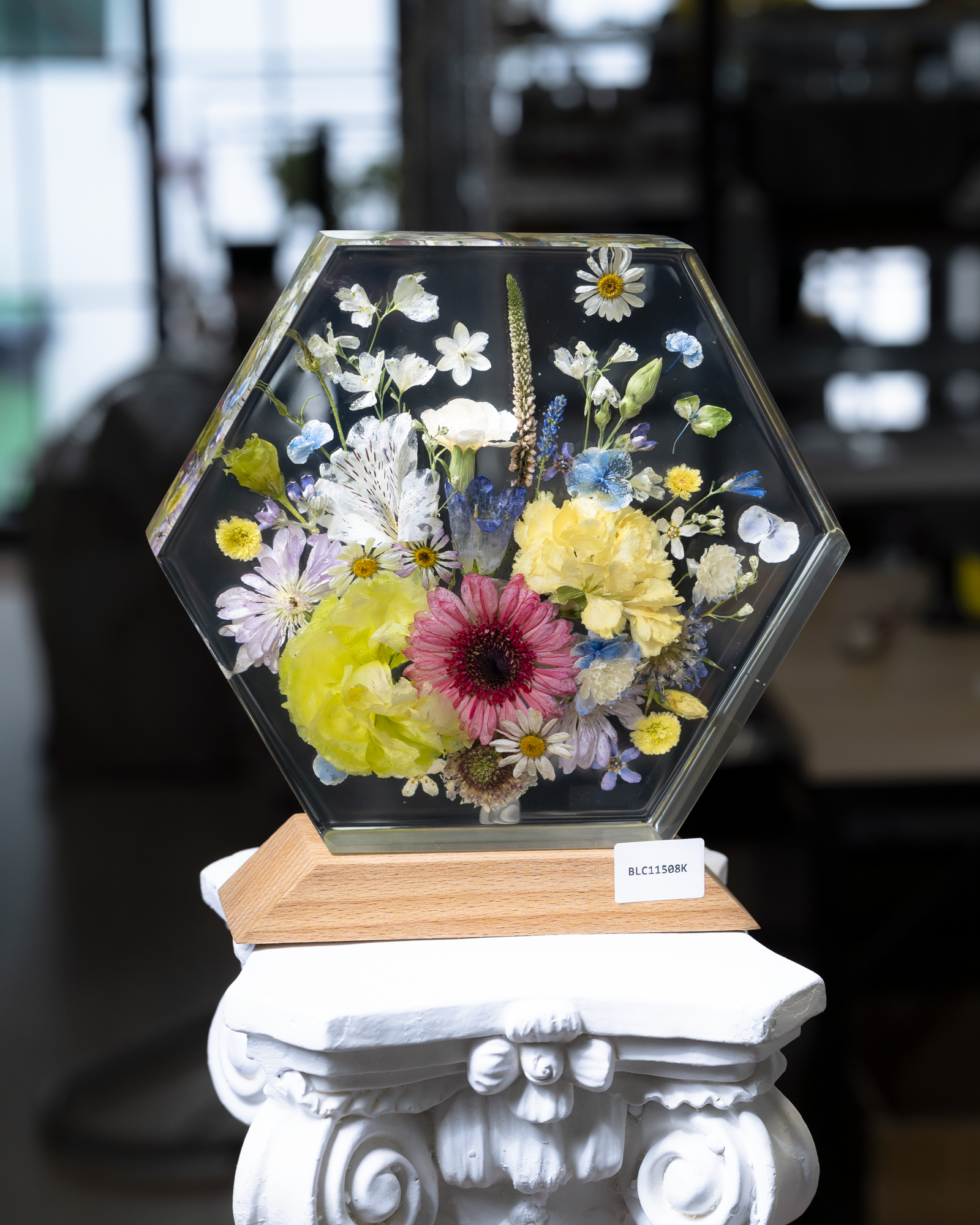 Đèn hoa khô Bloomlight BLC11508K