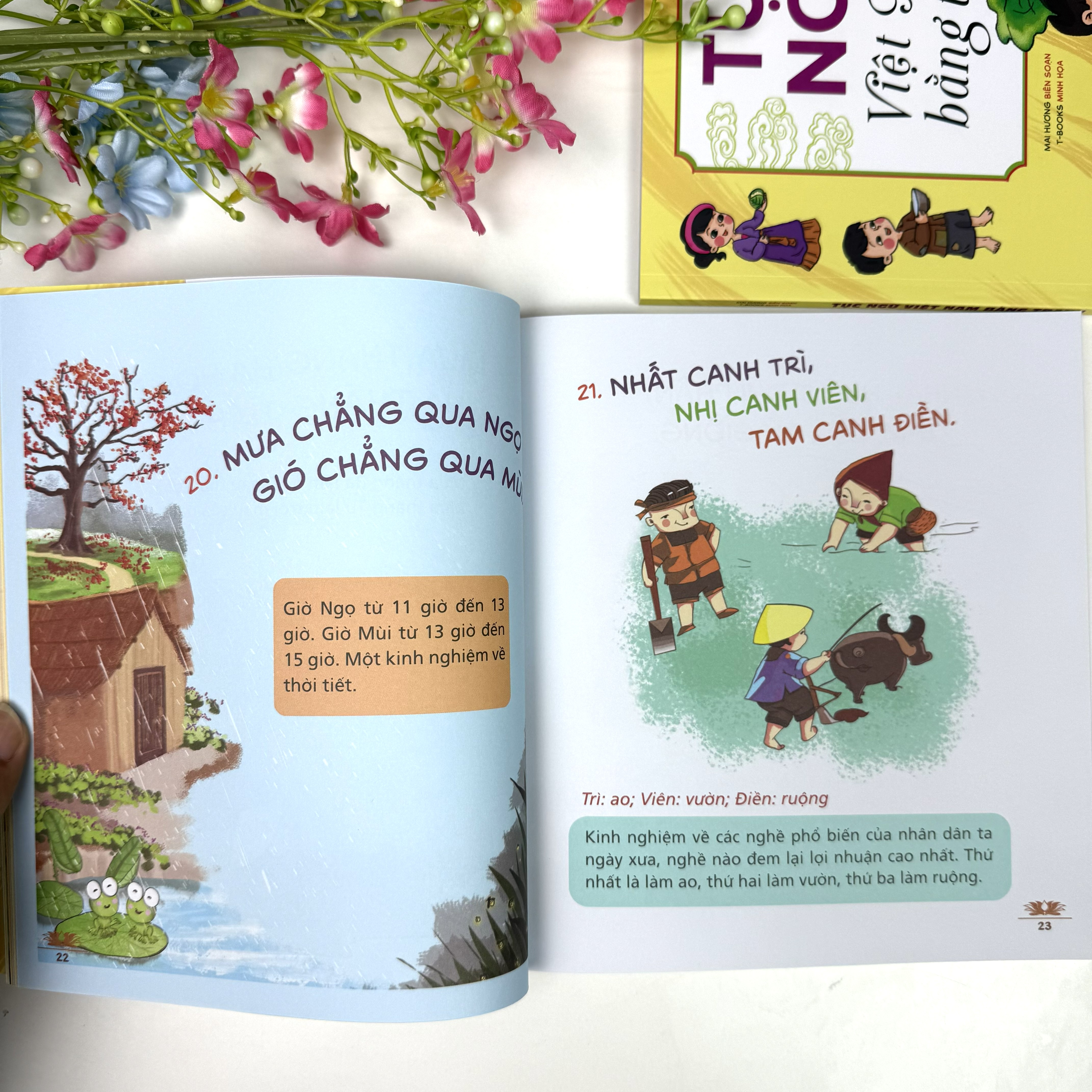 Tục Ngữ Việt Nam Bằng Tranh (Tái Bản 2026)_thumbnail_9