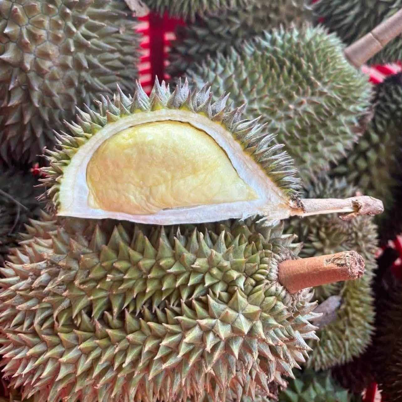 Sầu Riêng Hạt Rụng Chín Cây_thumbnail_2